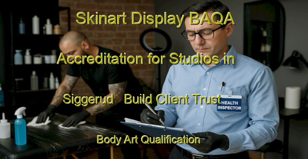 Skinart Display BAQA Accreditation for Studios in Siggerud - Build Client Trust | Body Art Qualification Authority | BAQA-Norway