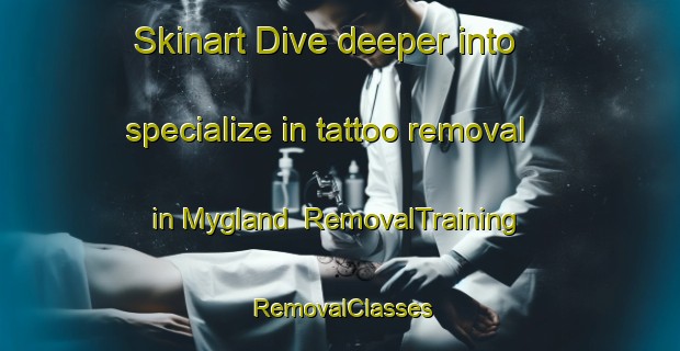 Skinart Dive deeper into specialize in tattoo removal in Mygland | RemovalTraining | RemovalClasses | SkinartTraining-Norway