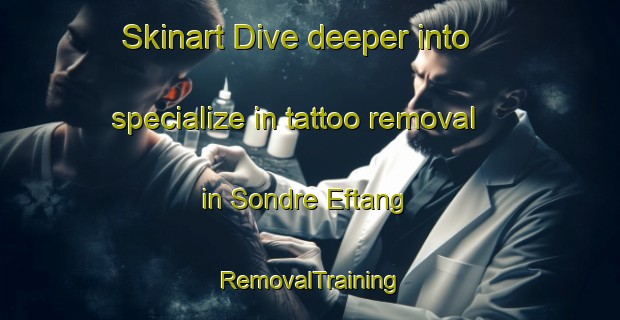 Skinart Dive deeper into specialize in tattoo removal in Sondre Eftang | RemovalTraining | RemovalClasses | SkinartTraining-Norway