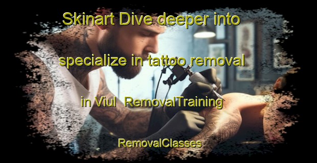 Skinart Dive deeper into specialize in tattoo removal in Viul | RemovalTraining | RemovalClasses | SkinartTraining-Norway