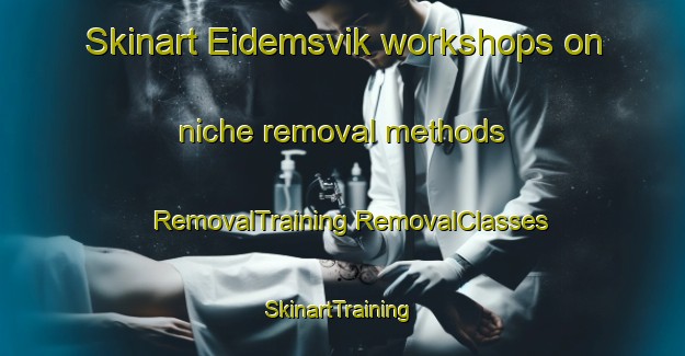 Skinart Eidemsvik workshops on niche removal methods | #RemovalTraining #RemovalClasses #SkinartTraining-Norway