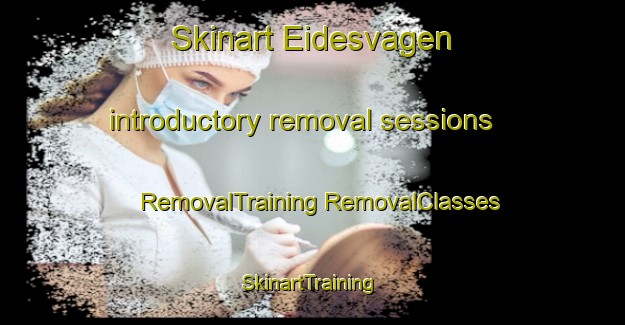 Skinart Eidesvagen introductory removal sessions | #RemovalTraining #RemovalClasses #SkinartTraining-Norway