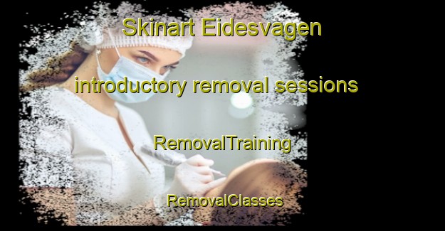 Skinart Eidesvagen introductory removal sessions | RemovalTraining | RemovalClasses | SkinartTraining-Norway