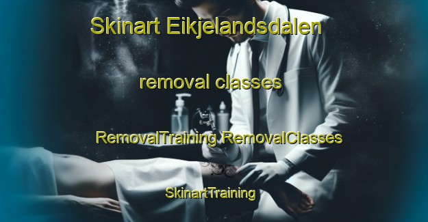 Skinart Eikjelandsdalen removal classes | #RemovalTraining #RemovalClasses #SkinartTraining-Norway