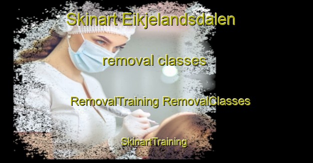 Skinart Eikjelandsdalen removal classes | #RemovalTraining #RemovalClasses #SkinartTraining-Norway