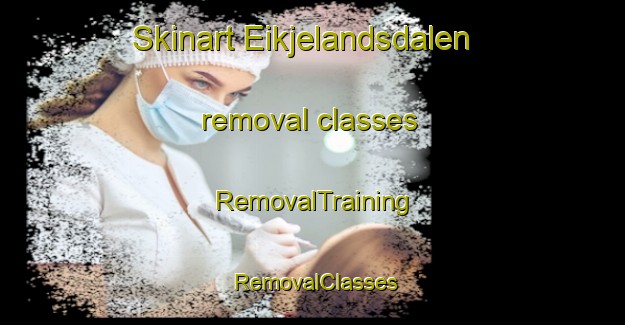 Skinart Eikjelandsdalen removal classes | RemovalTraining | RemovalClasses | SkinartTraining-Norway