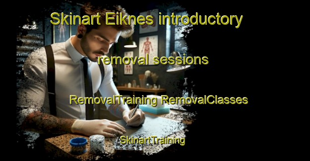 Skinart Eiknes introductory removal sessions | #RemovalTraining #RemovalClasses #SkinartTraining-Norway