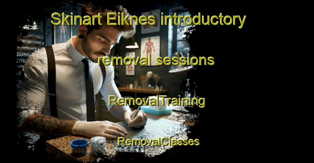 Skinart Eiknes introductory removal sessions | RemovalTraining | RemovalClasses | SkinartTraining-Norway