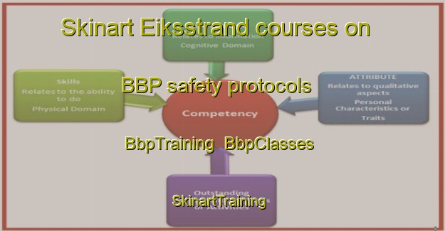 Skinart Eiksstrand courses on BBP safety protocols | BbpTraining | BbpClasses | SkinartTraining-Norway