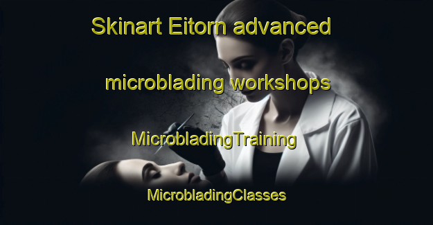 Skinart Eitorn advanced microblading workshops | #MicrobladingTraining #MicrobladingClasses #SkinartTraining-Norway