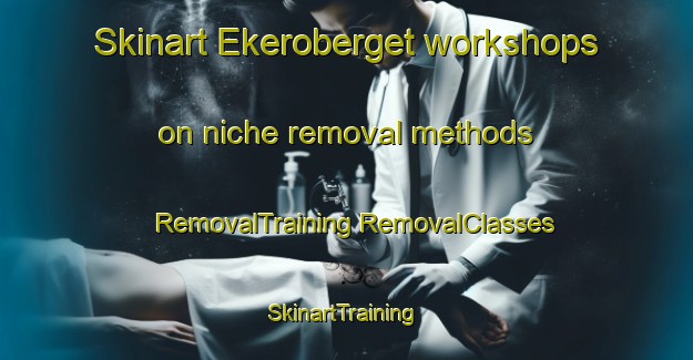 Skinart Ekeroberget workshops on niche removal methods | #RemovalTraining #RemovalClasses #SkinartTraining-Norway