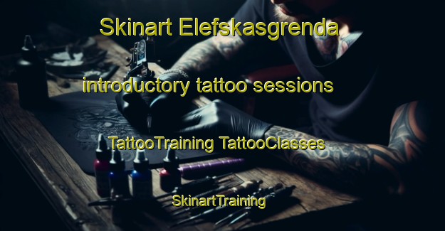 Skinart Elefskasgrenda introductory tattoo sessions | #TattooTraining #TattooClasses #SkinartTraining-Norway