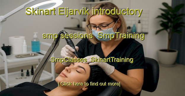 Skinart Eljarvik introductory smp sessions | SmpTraining | SmpClasses | SkinartTraining-Norway