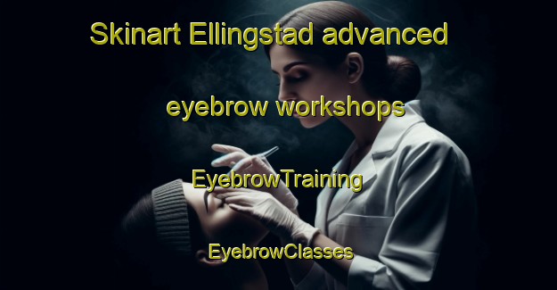 Skinart Ellingstad advanced eyebrow workshops | EyebrowTraining | EyebrowClasses | SkinartTraining-Norway