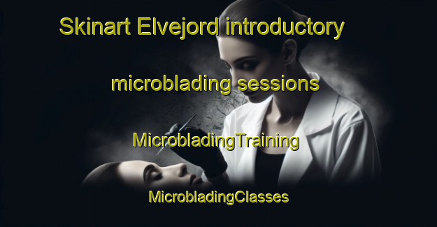 Skinart Elvejord introductory microblading sessions | #MicrobladingTraining #MicrobladingClasses #SkinartTraining-Norway