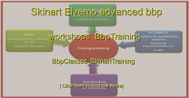 Skinart Elvemo advanced bbp workshops | BbpTraining | BbpClasses | SkinartTraining-Norway