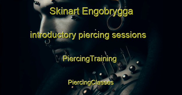 Skinart Engobrygga introductory piercing sessions | #PiercingTraining #PiercingClasses #SkinartTraining-Norway