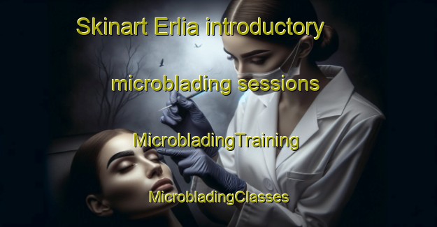 Skinart Erlia introductory microblading sessions | #MicrobladingTraining #MicrobladingClasses #SkinartTraining-Norway