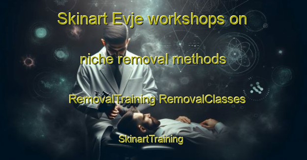 Skinart Evje workshops on niche removal methods | #RemovalTraining #RemovalClasses #SkinartTraining-Norway