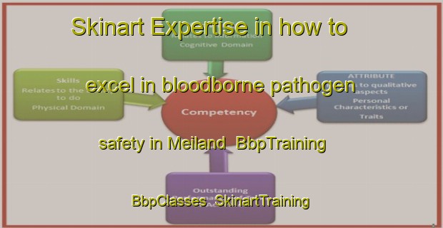 Skinart Expertise in how to excel in bloodborne pathogen safety in Meiland | BbpTraining | BbpClasses | SkinartTraining-Norway