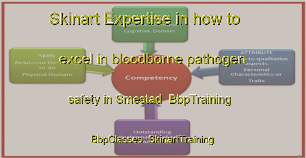 Skinart Expertise in how to excel in bloodborne pathogen safety in Smestad | BbpTraining | BbpClasses | SkinartTraining-Norway
