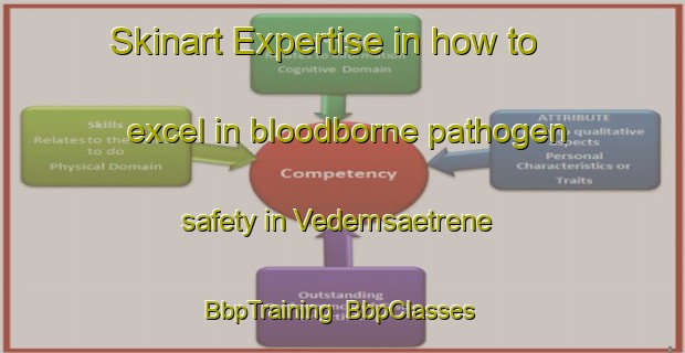 Skinart Expertise in how to excel in bloodborne pathogen safety in Vedemsaetrene | BbpTraining | BbpClasses | SkinartTraining-Norway
