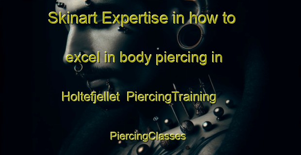 Skinart Expertise in how to excel in body piercing in Holtefjellet | PiercingTraining | PiercingClasses | SkinartTraining-Norway