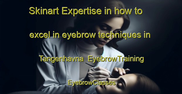 Skinart Expertise in how to excel in eyebrow techniques in Tangenhavna | EyebrowTraining | EyebrowClasses | SkinartTraining-Norway