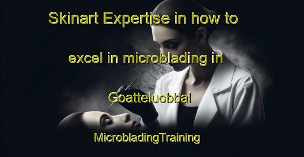 Skinart Expertise in how to excel in microblading in Goatteluobbal | MicrobladingTraining | MicrobladingClasses | SkinartTraining-Norway