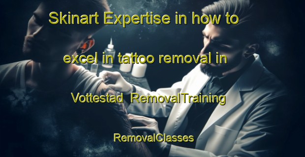 Skinart Expertise in how to excel in tattoo removal in Vottestad | RemovalTraining | RemovalClasses | SkinartTraining-Norway