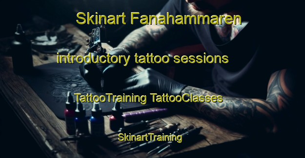 Skinart Fanahammaren introductory tattoo sessions | #TattooTraining #TattooClasses #SkinartTraining-Norway