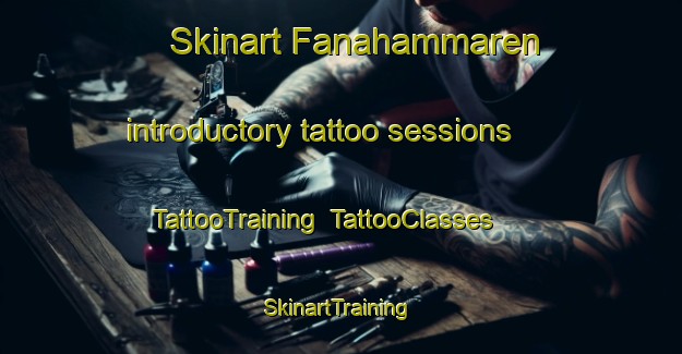 Skinart Fanahammaren introductory tattoo sessions | TattooTraining | TattooClasses | SkinartTraining-Norway