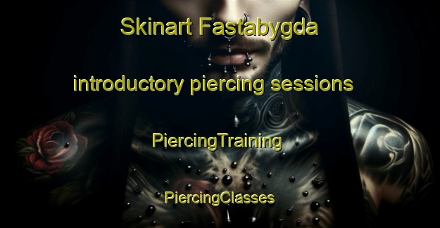 Skinart Fastabygda introductory piercing sessions | #PiercingTraining #PiercingClasses #SkinartTraining-Norway