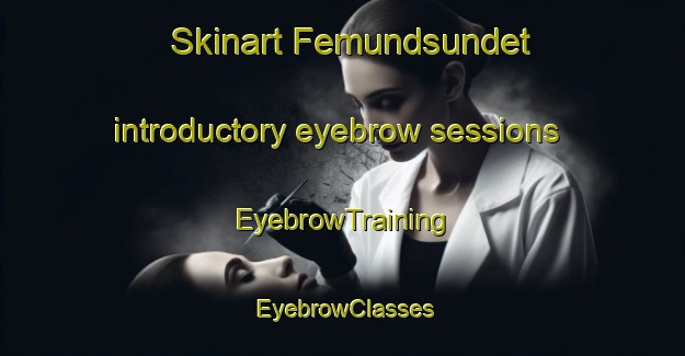 Skinart Femundsundet introductory eyebrow sessions | EyebrowTraining | EyebrowClasses | SkinartTraining-Norway