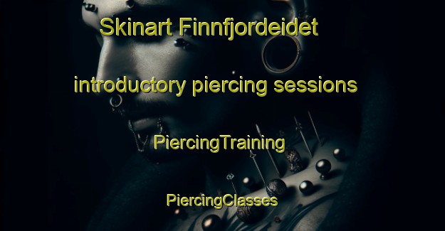 Skinart Finnfjordeidet introductory piercing sessions | #PiercingTraining #PiercingClasses #SkinartTraining-Norway