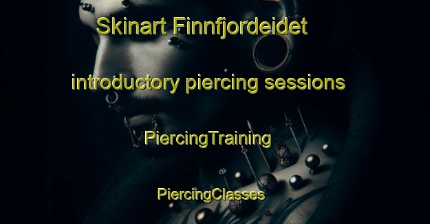 Skinart Finnfjordeidet introductory piercing sessions | PiercingTraining | PiercingClasses | SkinartTraining-Norway
