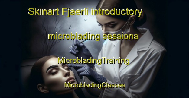 Skinart Fjaerli introductory microblading sessions | #MicrobladingTraining #MicrobladingClasses #SkinartTraining-Norway