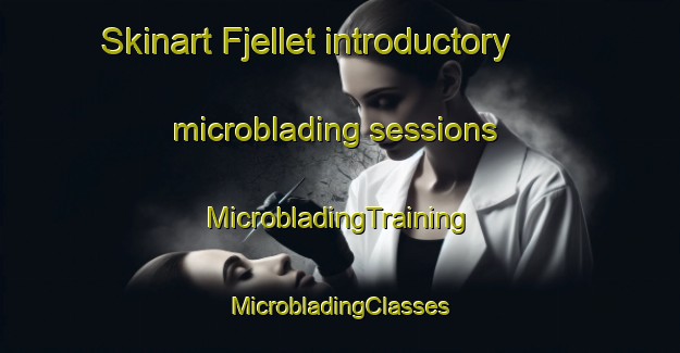 Skinart Fjellet introductory microblading sessions | #MicrobladingTraining #MicrobladingClasses #SkinartTraining-Norway