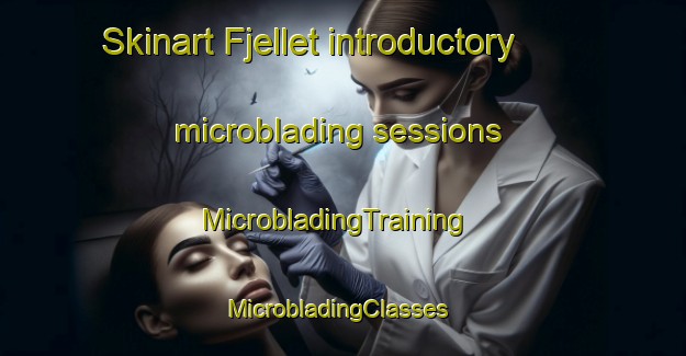 Skinart Fjellet introductory microblading sessions | MicrobladingTraining | MicrobladingClasses | SkinartTraining-Norway