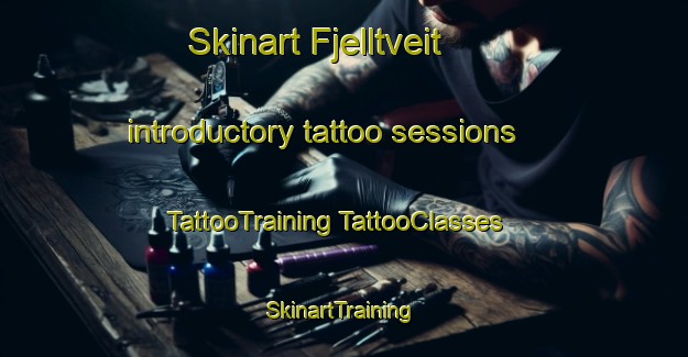 Skinart Fjelltveit introductory tattoo sessions | #TattooTraining #TattooClasses #SkinartTraining-Norway