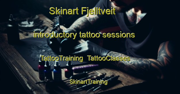 Skinart Fjelltveit introductory tattoo sessions | TattooTraining | TattooClasses | SkinartTraining-Norway