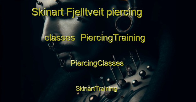 Skinart Fjelltveit piercing classes | #PiercingTraining #PiercingClasses #SkinartTraining-Norway