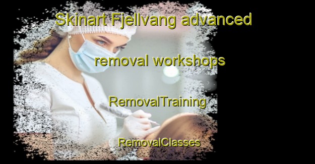 Skinart Fjellvang advanced removal workshops | RemovalTraining | RemovalClasses | SkinartTraining-Norway