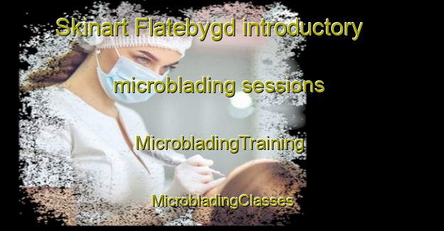 Skinart Flatebygd introductory microblading sessions | #MicrobladingTraining #MicrobladingClasses #SkinartTraining-Norway