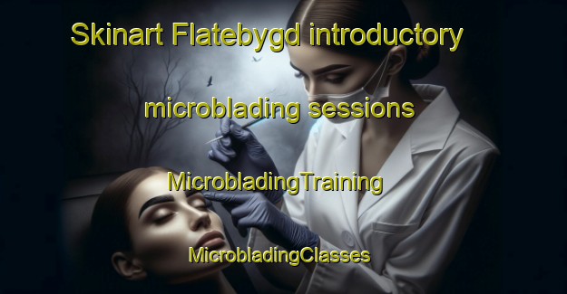 Skinart Flatebygd introductory microblading sessions | MicrobladingTraining | MicrobladingClasses | SkinartTraining-Norway