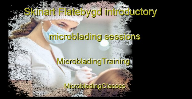 Skinart Flatebygd introductory microblading sessions | MicrobladingTraining | MicrobladingClasses | SkinartTraining-Norway