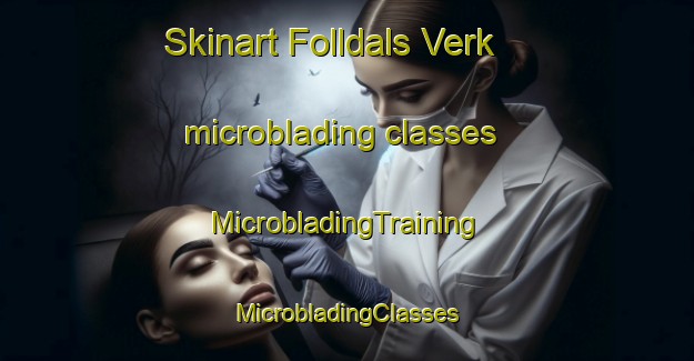 Skinart Folldals Verk microblading classes | #MicrobladingTraining #MicrobladingClasses #SkinartTraining-Norway