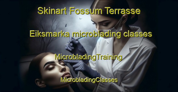 Skinart Fossum Terrasse Eiksmarka microblading classes | #MicrobladingTraining #MicrobladingClasses #SkinartTraining-Norway