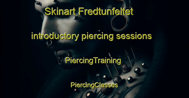 Skinart Fredtunfeltet introductory piercing sessions | #PiercingTraining #PiercingClasses #SkinartTraining-Norway