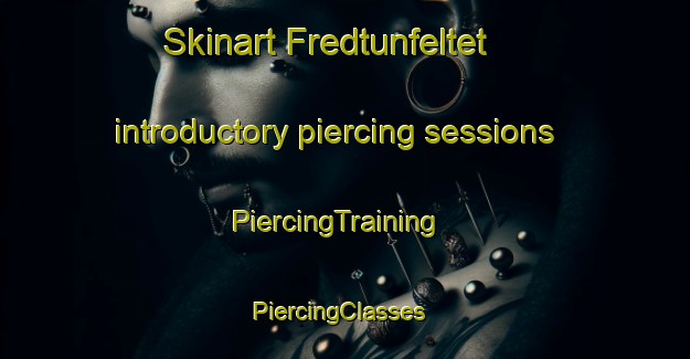 Skinart Fredtunfeltet introductory piercing sessions | PiercingTraining | PiercingClasses | SkinartTraining-Norway